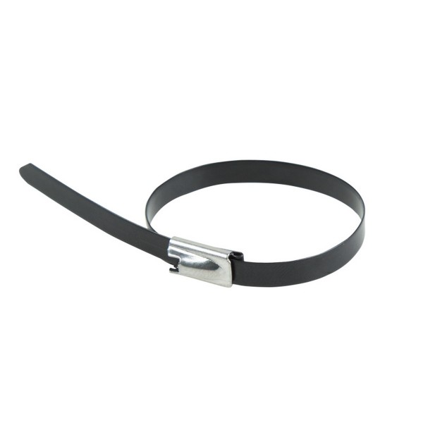 Фото Хомут стальной (стяжка) 4,6*152мм (50шт), rexant 07-0158