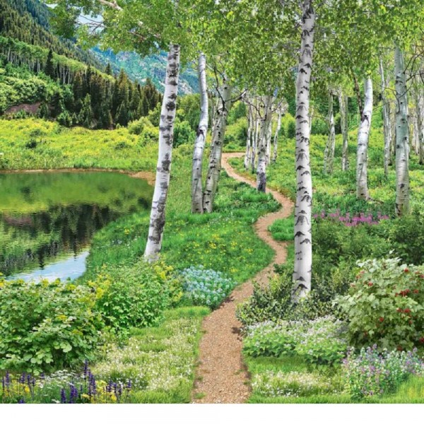 Фото Фотообои березовый вальс х5 премиум 204*194см /6 листов/