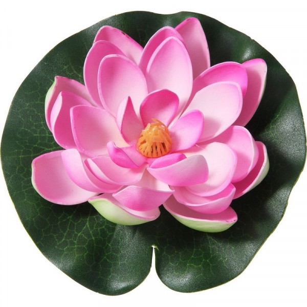 Фото Растение декоративное кувшинка ff-041