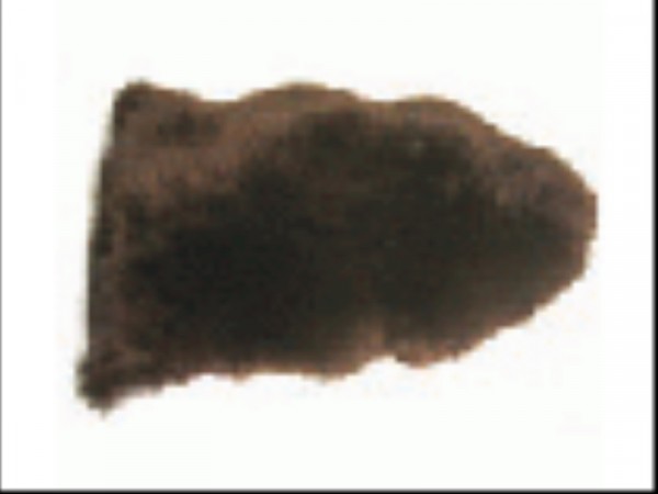 Фото Шкура овечья 90*55 коричневая искусственная vortex 40/5