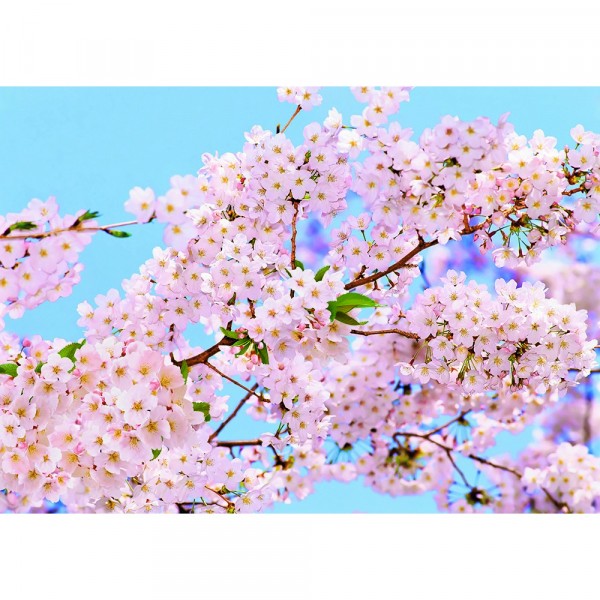 Фото Фотообои весна х 5 премиум 272*194см /8 листов/
