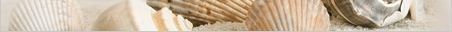 

бордюр summer stone 40*3 бежевый b41301 (56)