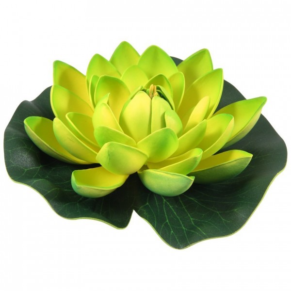 Фото Растение декоративное кувшинка ff-043