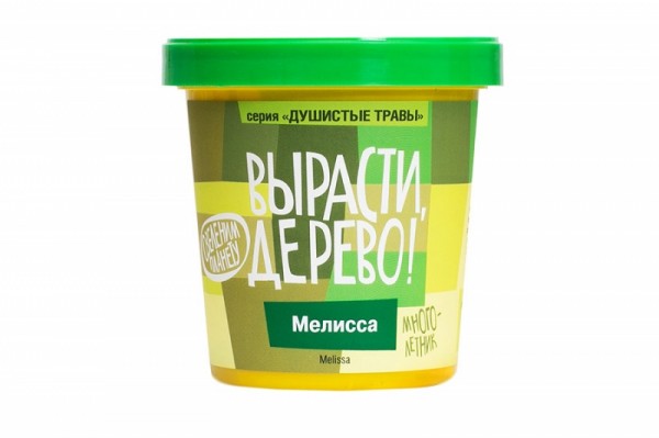 Фото Набор вырасти дерево мелисса zk-035