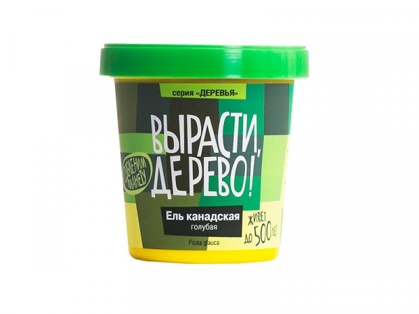 Фото Набор вырасти дерево ель канадская голубая zk-048