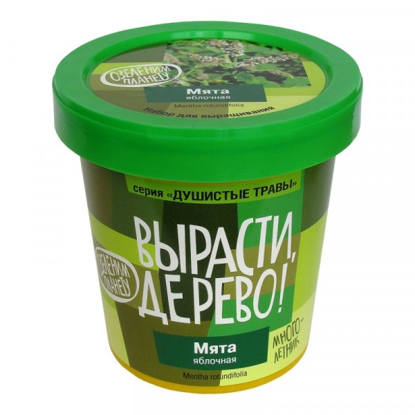 Фото Набор вырасти дерево мята яблочная zk-093