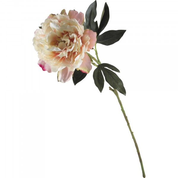 Фото Цветок искусственный пион волшебная страна 004071