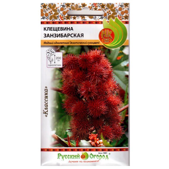 Фото Клещевина занзибарская /5шт/