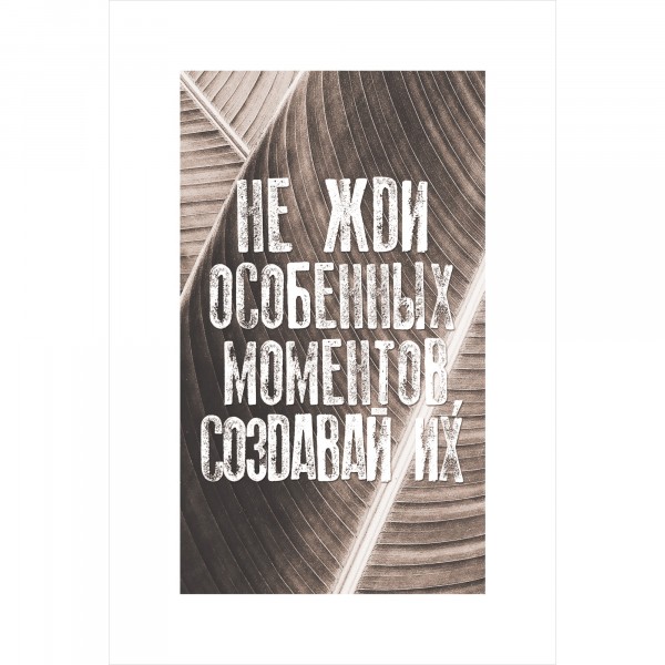 Фото Постер 20х30 safary jam 7829