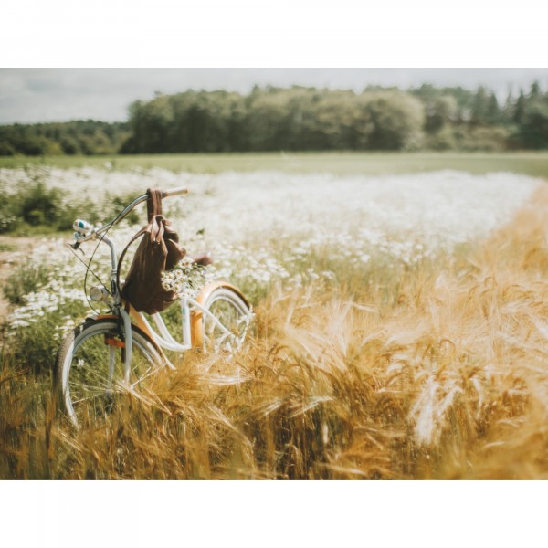 Фото Постер 30х40 там где живет небо 7808