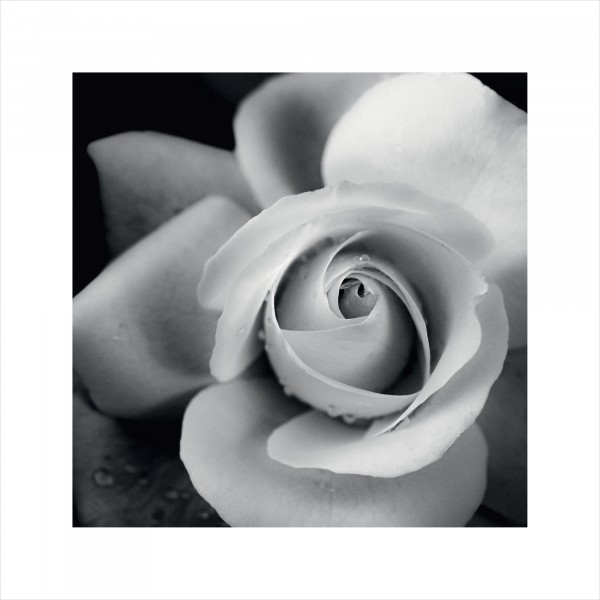 Фото Постер 30х30 black&white 7817