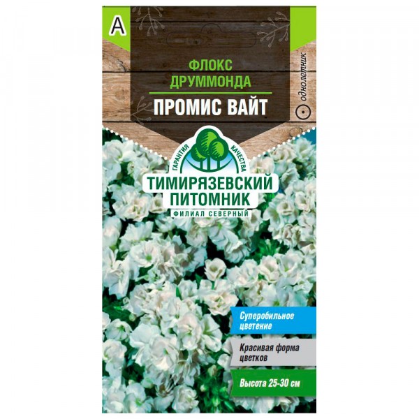 Фото Семена tim/цветы флокс друммонда промис вайт 10шт