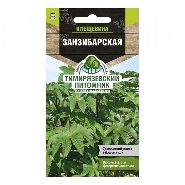 Фото Семена tim/цветы клещевина занзибарская 5шт