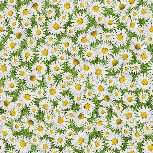 Фото Клеенка photoprint 140см 702 маргаритки 4256