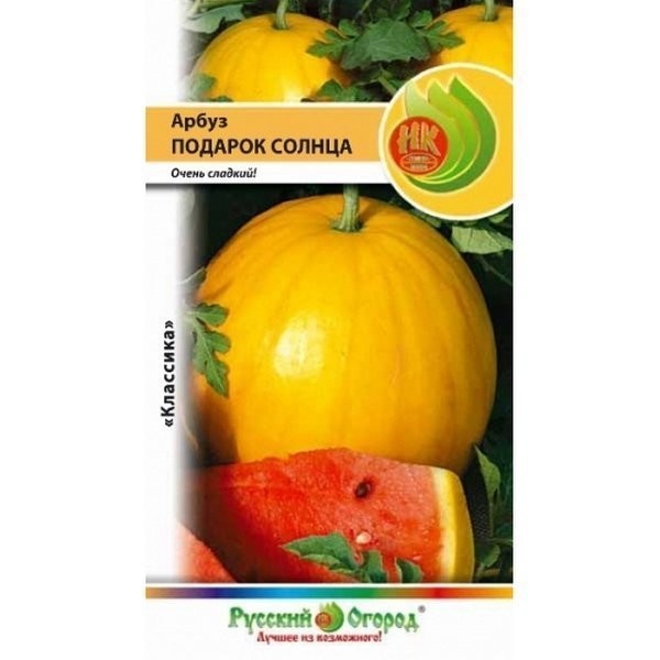 Фото Арбуз подарок солнца 304403