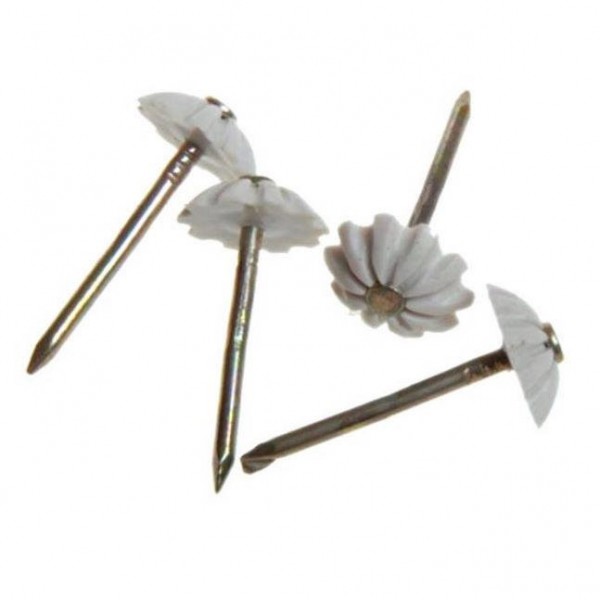 Фото Гвоздь с декор. шляпкой (белая) (80 шт)