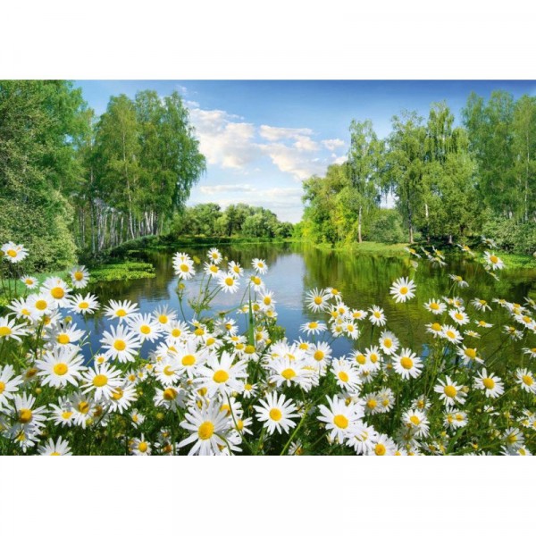 Фото Фотообои ромашки х5 премиум 194*136см /4 листа/