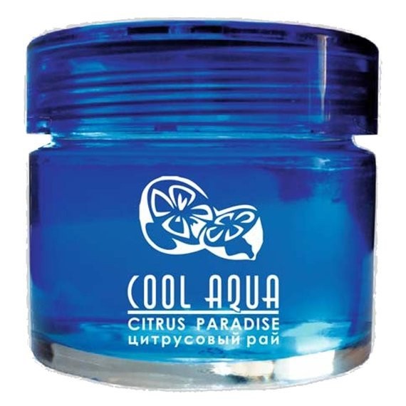 ароматизатор на приборную панель cool aqua цитрусовый рай са-12