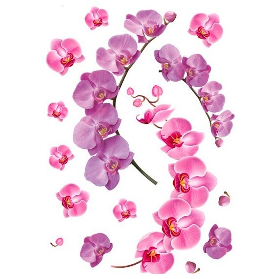 Фото Декоретто веточка орхидеи fi 4008