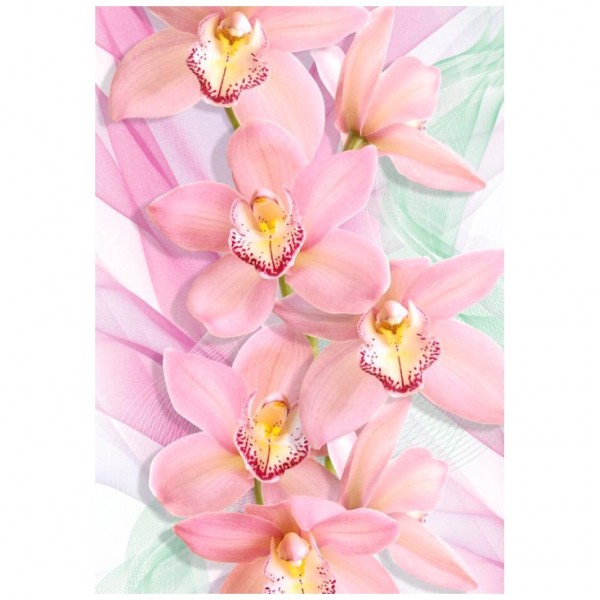 Фото Фотообои орхидеи х 5 премиум 194*136см /4 листа/