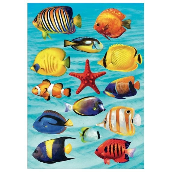 Фото Декоретто рыбы красного моря sh 4001