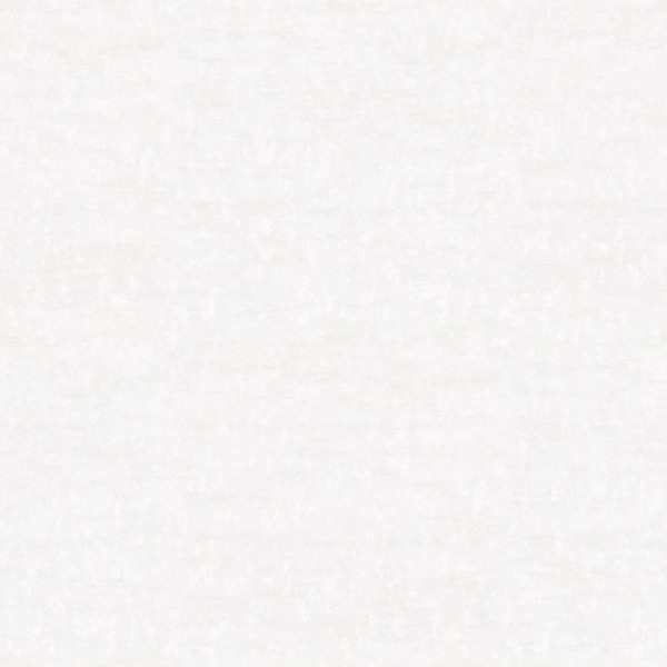 Фото Обои vv71817-14 vog collection сен-мишель флизелин 1,06*10м однотонный серый