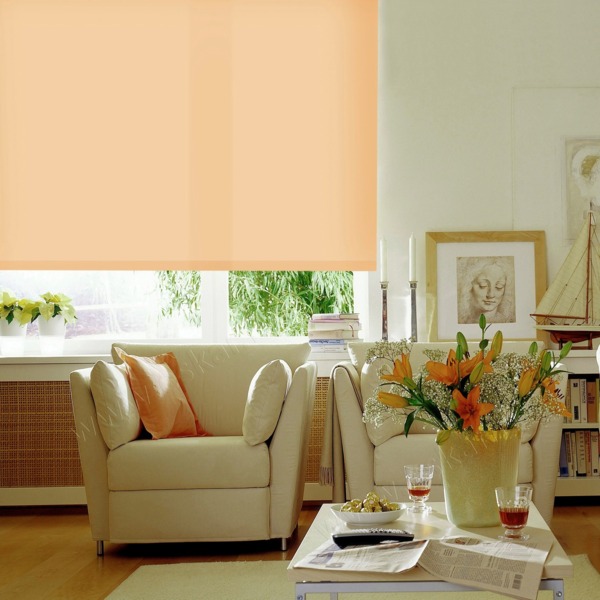 Фото Штора рулонная эскар 68*170см оранжевый 31112068170