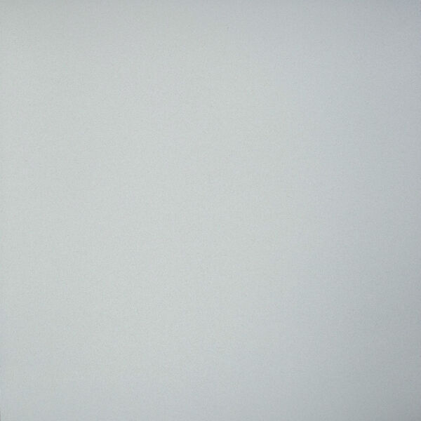 Фото Керамогранит профи светло-серый 60х60 gt009m