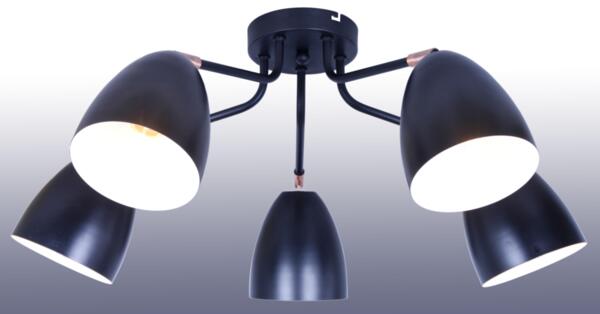 Фото Люстра market fr5056pl-05b