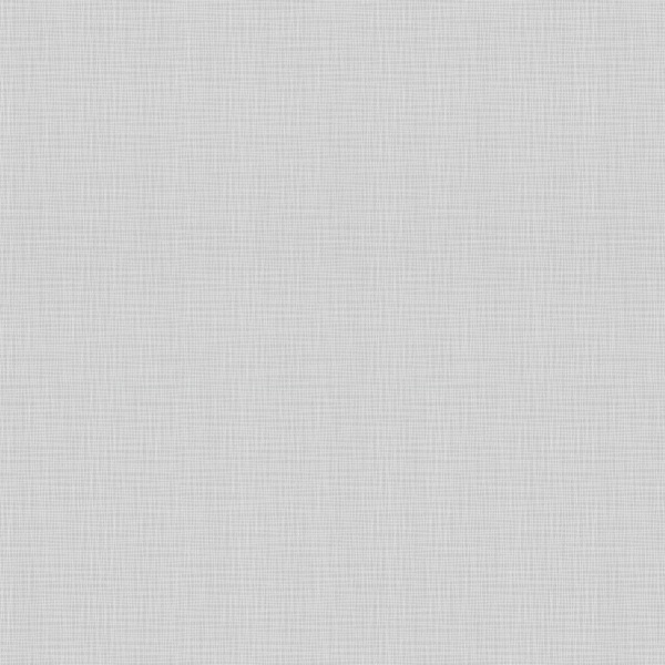 Фото Обои fm71828-44 family flaxis флизелин 1.06x10,05м однотонный серый