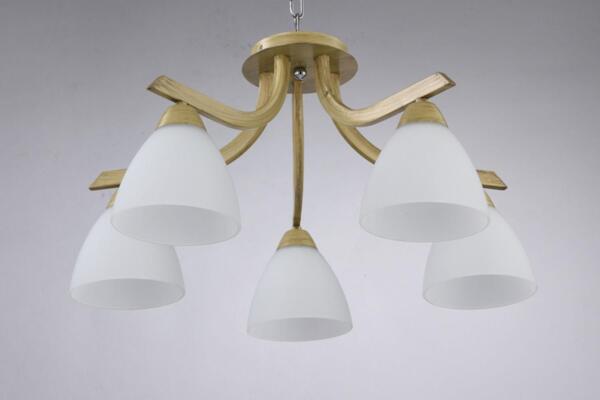 Фото Люстра market fr5058pl-05bg