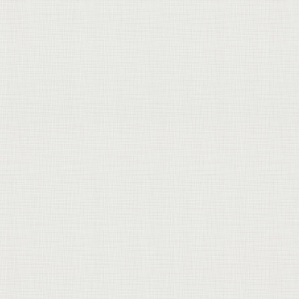 Фото Обои fm71828-14 family flaxis флизелин 1.06x10,05м однотонный серый