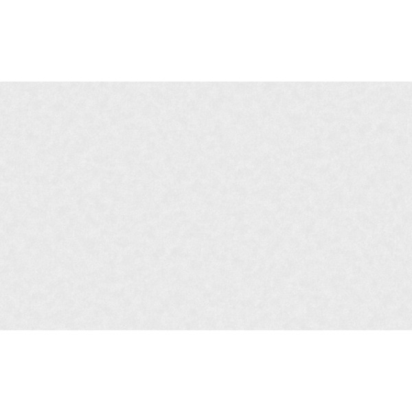 Фото Обои 11-1007-21 белвинил опера флизелин 1.06x10м однотонный серый