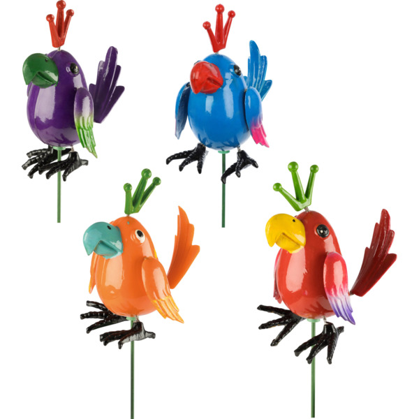 Фото Штекер попугай