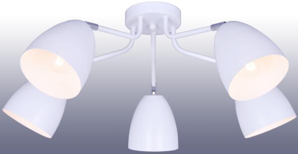 Фото Люстра market fr5056pl-05w