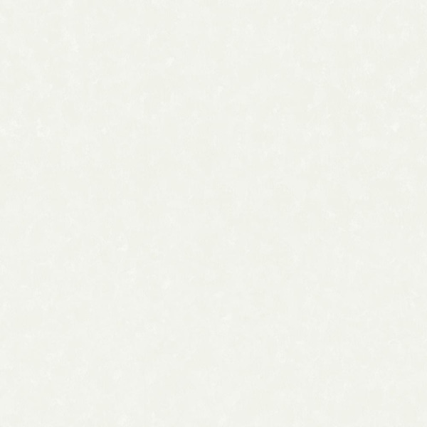 Фото Обои 715-21 home color easy pro флизелин 1,06*10,05м однотонный белый