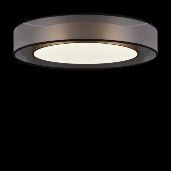 Фото Светильник потолочный zoticus fr6005cl-l48g