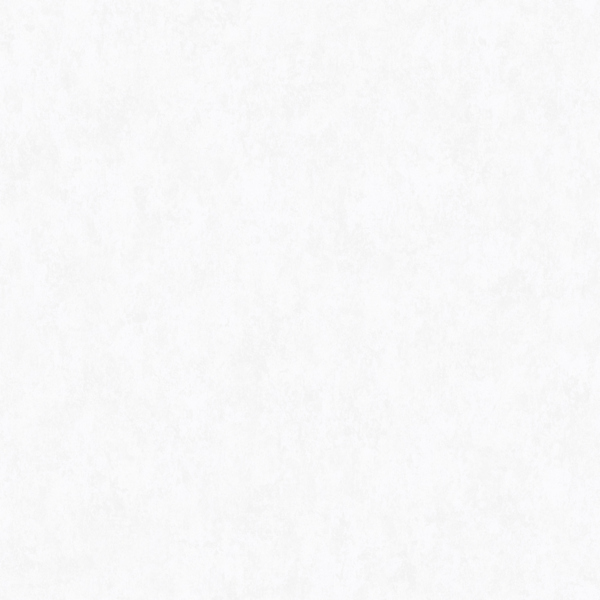 Фото Обои 6189-1 erismann tessa флизелин 1.06x10,05м однотонный белый