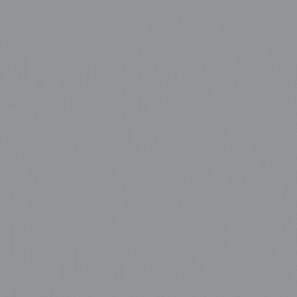 Фото Обои 60290-07 erismann anika флизелин 1.06x10,05м однотонный серый