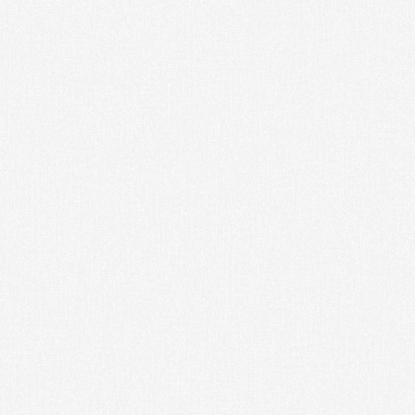 Фото Обои 8594-00 vernissage bosco флизелин 1.06x10,05м однотонный белый