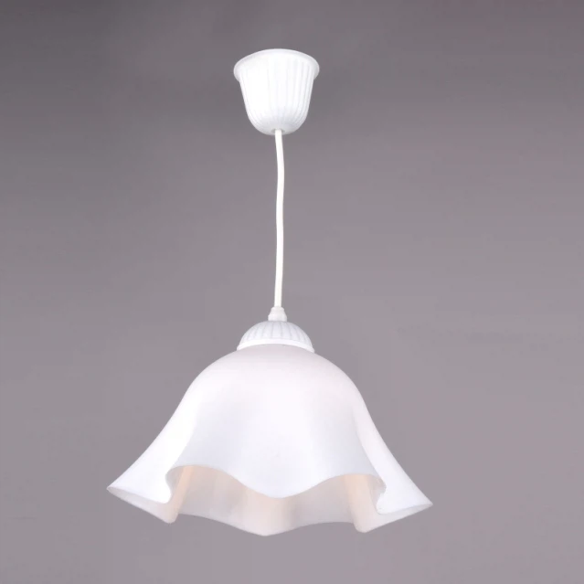 Изображение товара Светильник РС19340 WT/1P