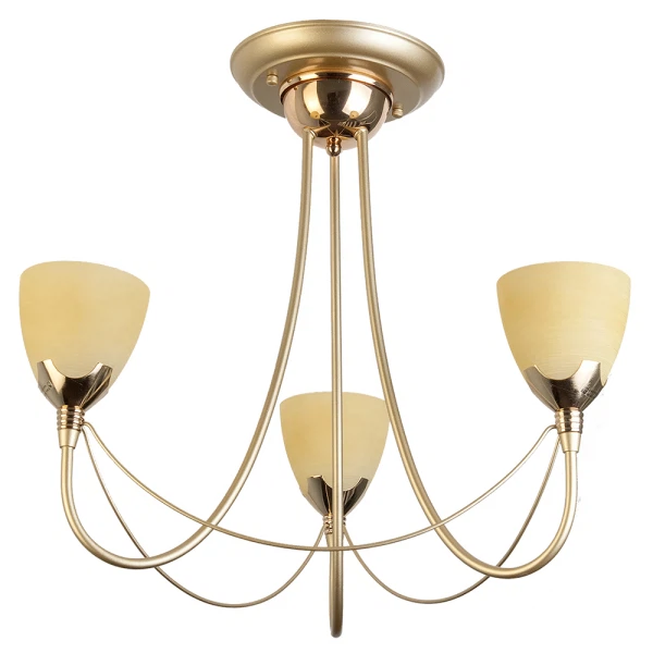 Фото Люстра потолочная toplight lucia tl3630x-03mg е14 3x60w