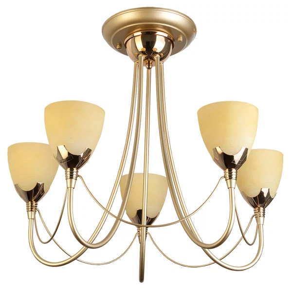 Фото Люстра потолочная toplight lucia tl3630x-05mg е14 5x60w