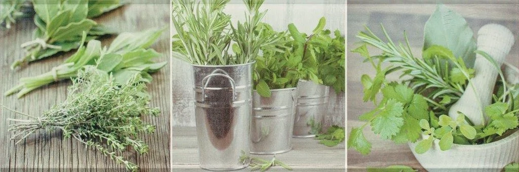 Изображение товара Декор Salerno glass 1 20*60