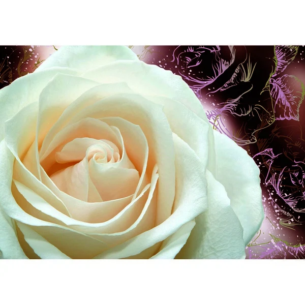 

фотообои нежность х5 премиум 194*136см /4 листа/