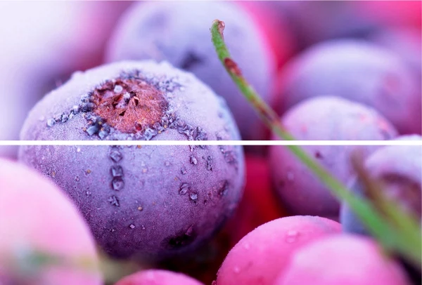 Фото Панно Beveled Tile Frozen Berries ягоды 20х30 Td-bt-p-fb