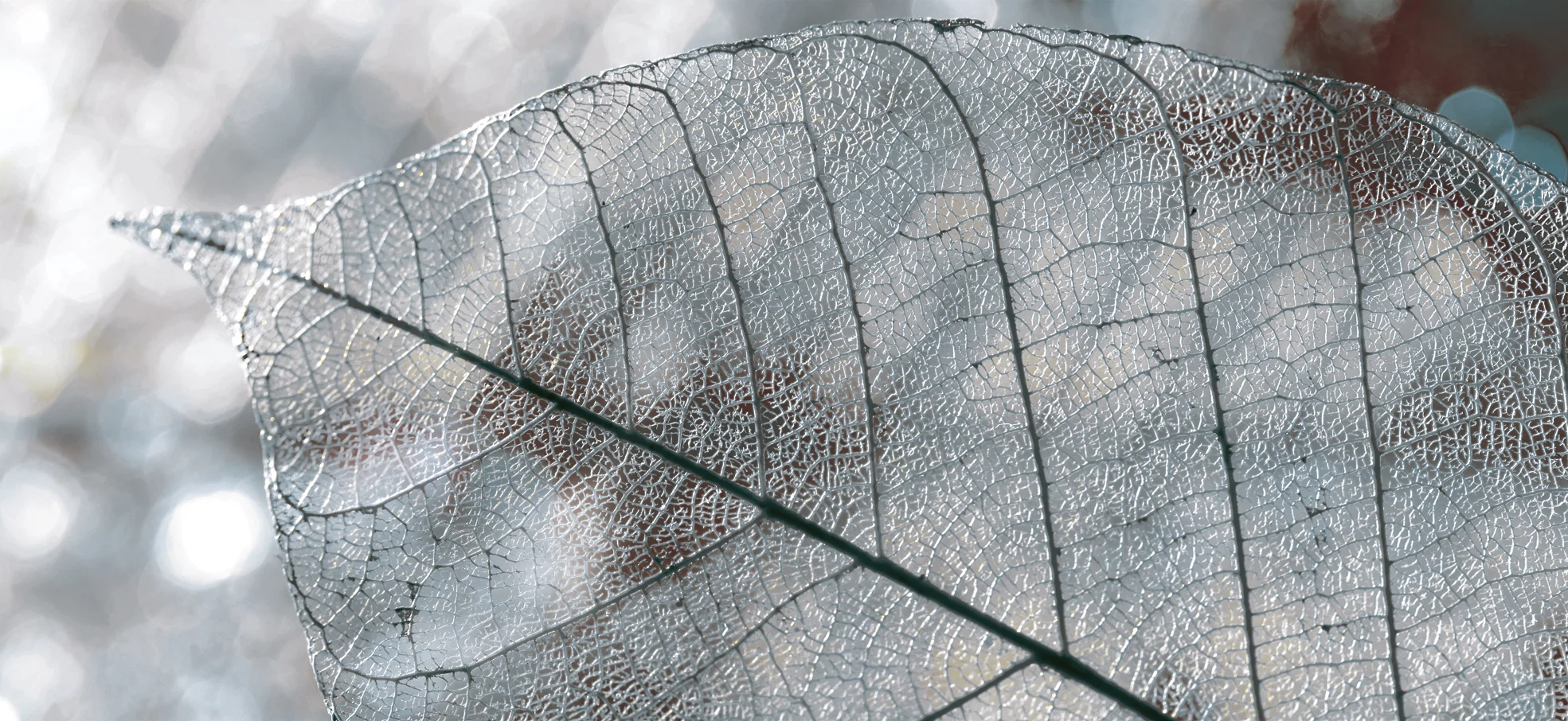 Изображение товара Декор Magia 50*23 см серый с природным принтом