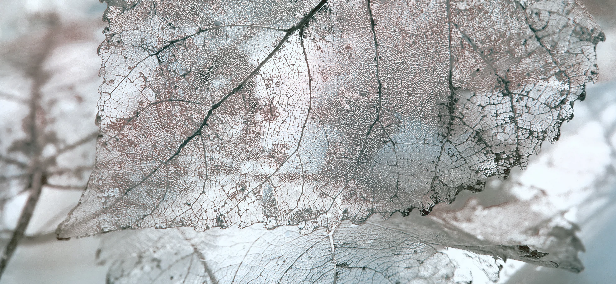 Изображение товара Декор для стен Magia 50х23 см серый стиль природы глянцевый