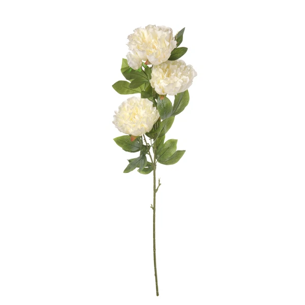 Фото Пион в1050 engard белый e4-pb