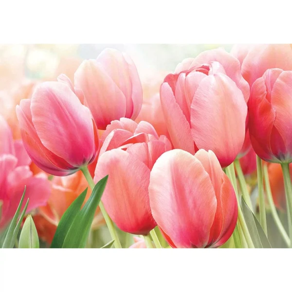 Фото Фотообои шлейф весны х 5 премиум 194*136см /4листа/